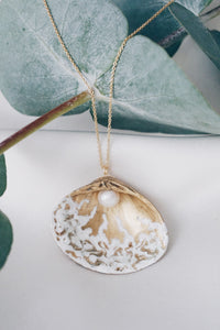 Albero seashell necklace