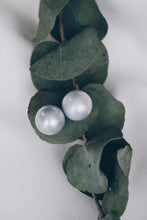 Large gray pearl earrings